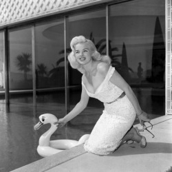 vintagechampagnefever:  Diana Dors at the Cannes Film Festival