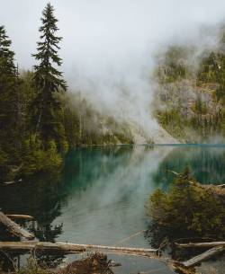 wanderlog:  Olympic National Park. Photo: @btonevibes #nature