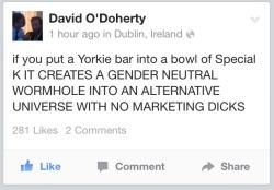 earlgreysoul:  Reason #3493 to love David O’Doherty. 