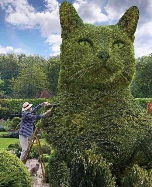 misterlemonzafterlife:  jaubaius:Amazing! https://MisterLemonzAfterlife.tumblr.com/archive