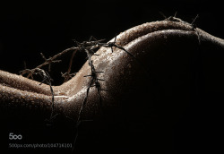 popularnude:  pain… by hanna_e , via http://500px.com/photo/104716101