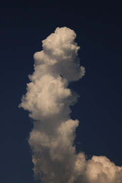 silver-frog:  To infinity and beyond !