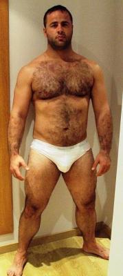 The Underwear Bear