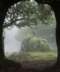 lunarynth:  burning-soul:  Forest Portal, Sardinia, Italy  I