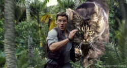 archiemcphee: It’s Caturday and, thanks to the Photoshop skills