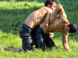 Turkish oil wrestling (Yağlı güreş)
