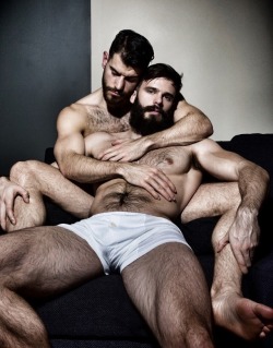 sydbi-guy:  manlybeasts:  Become a follower of Manly Beasts 