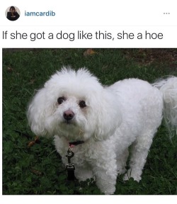 thottness:  cumnog:  my grandma has a dog like this….  Ya grandma