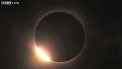 the-wolf-and-moon:  Solar Eclipse 