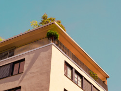 interplanetaryseaweed:  Took this while visiting Cologne the