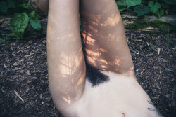 emmeroids:   Jacs Fishburne x Alveoli Photography 