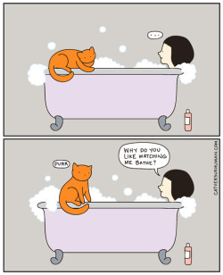 catversushuman:  I guess it’s nice to have company.