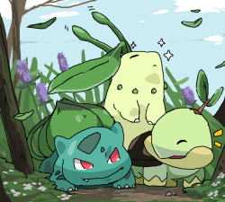 level5pencil:  30 day pokemon challenge 21. Your favorite starters,