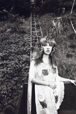 Stevie Nicks photographed by Neal Preston, Laurel Canyon, 1981.