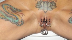 pussymodsgalore  Outer labia piercings with rings and barbells,