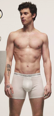 zacefronsbf:Shawn Mendes for Calvin Klein Underwear — Behind