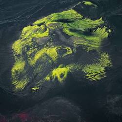earthstory:  Moss on lavaThe flow patterns in a basaltic lava