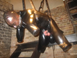 nice way to spend your life as a sexy suspension bondage gimp