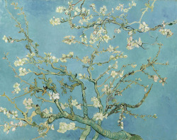 lonequixote:  Branches with Almond Blossom by Vincent van Gogh