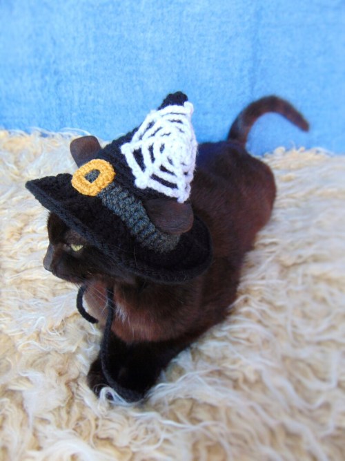 figdays:    Witch Hat for Cat //   PurrsAndStitches  