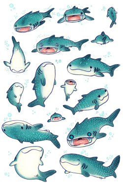 eshkanscab:  these are my whale sharks that i’m selling on