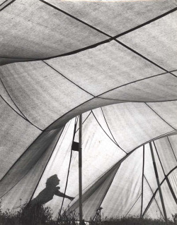Untitled (Woman’s Shadow on a Tent) Ludwig Windstosser, 1950-1960
