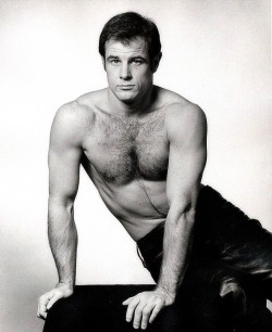 famouxben:  Brad Davis
