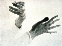 likeafieldmouse:  Paul Rockett - Glenn Gould’s Hands (1956)