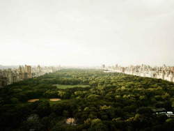 magnificentruin:   Josef Hoflehner Central Park (New York, 2011)