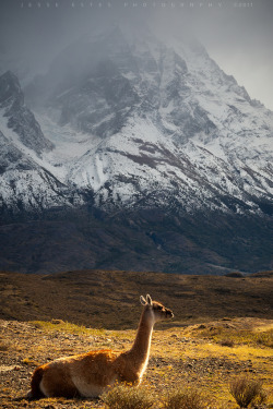 drxgonfly:Chile - Patagonia (by Jesse Estes)