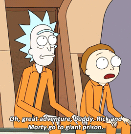 ricks-and-mortys:  RICK AND MORTY1.05 - Meeseeks and Destroy