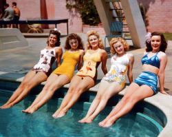 vintagegal:  Fox starlets Trudy Marshall, Jeanne Crain, Gale
