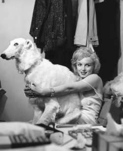 luv50sand60s:  Marilyn Monroe with her furry friend - 1958.~Photo