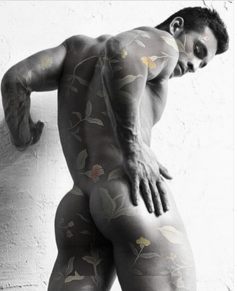 The Art of the Male Body