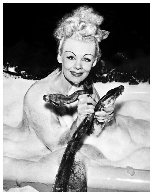Lonnie Young Posing in a soapy bathtub with her pythons for a Men’s Magazine photoshoot.. Both snakes have had their mouths sealed shut with adhesive tape, as was generally the practice with dancers performing with snakes.. Eventually, local ASPCA