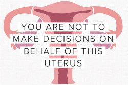 huffingtonpost:  Now You Can ‘Send Congress Your Uterus’If