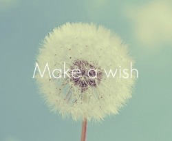 daydream-blogger:    