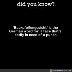 did-you-know:  ‘Backpfeifengesicht’ is the German word for