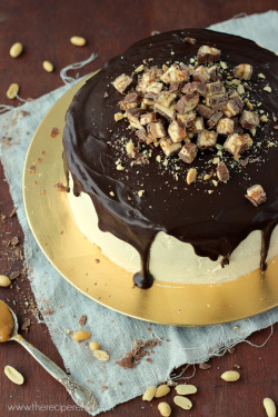 delicious-food-porn:  Snickers Cheesecake Cake