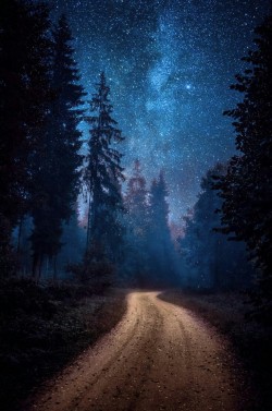 thedemon-hauntedworld:  Hendrik Mändla on 500px  Winding road