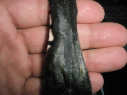 Jose submitted: here some more of my step daughter creamed undies. I heard her masturbating,then i found this in her hamper    