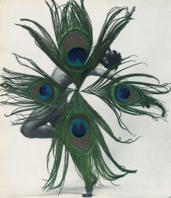 darksilenceinsuburbia:  Carol Bove. Untitled, 2005. Peacock feathers