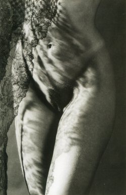 gacougnol:  Gunter BlumTorso and Veil 1996 