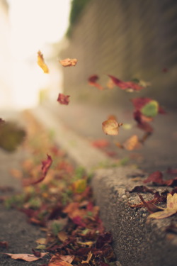 awtumnleafs:  want more autumn?! follow awtumnleafs