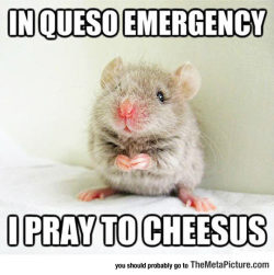 thingsmakemelaughoutloud:  The Holy Mouse- Funny and Hilarious