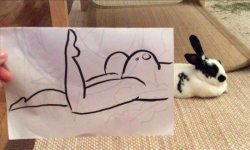 bestfunny:  tastefullyoffensive:  Bun Buns    