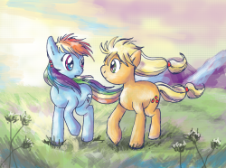 fuckyeahappledash:  Rainbow Dash and Applejack in the Valley