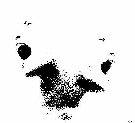 sblzk:     Glimpse of The Dark Side - source (PonderAbout.com)