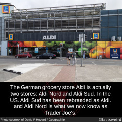 mindblowingfactz:  The German grocery store Aldi is actually