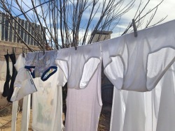 prometeo81: Laundry day :)  We need to see this on every corner here in the city!